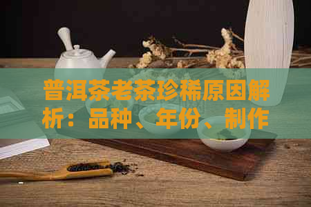 普洱茶老茶珍稀原因解析：品种、年份、制作工艺等多方面因素影响其稀缺性