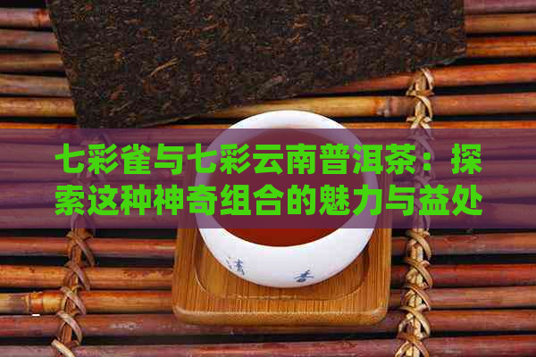 七彩雀与七彩云南普洱茶：探索这种神奇组合的魅力与益处