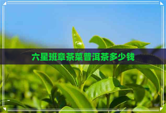 六星班章茶菜普洱茶多少钱