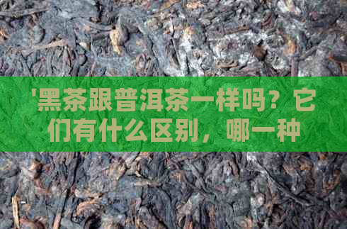 '黑茶跟普洱茶一样吗？它们有什么区别，哪一种更好？能喝吗？'