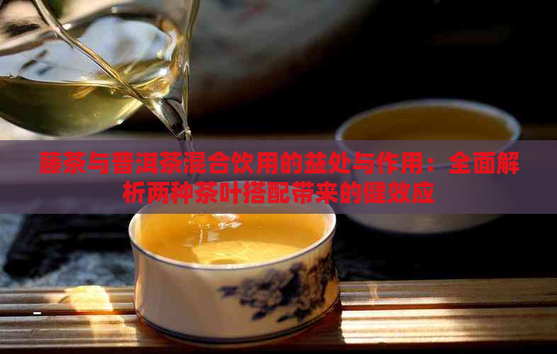 藤茶与普洱茶混合饮用的益处与作用：全面解析两种茶叶搭配带来的健效应