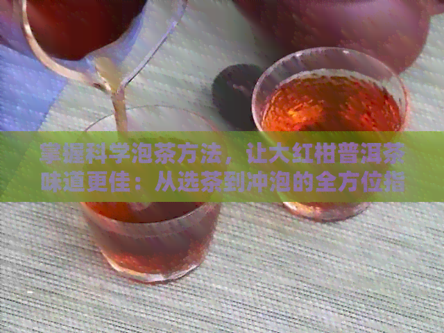 掌握科学泡茶方法，让大红柑普洱茶味道更佳：从选茶到冲泡的全方位指南