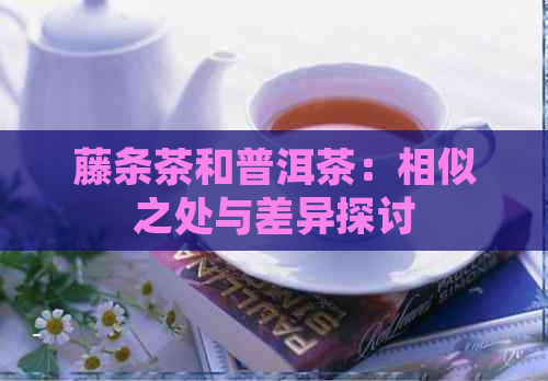 藤条茶和普洱茶：相似之处与差异探讨