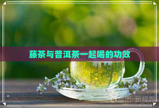 藤茶与普洱茶一起喝的功效