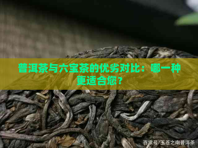 普洱茶与六宝茶的优劣对比：哪一种更适合您？