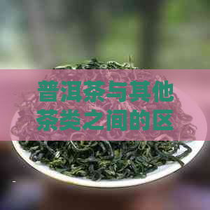 普洱茶与其他茶类之间的区别与特点：全面解析