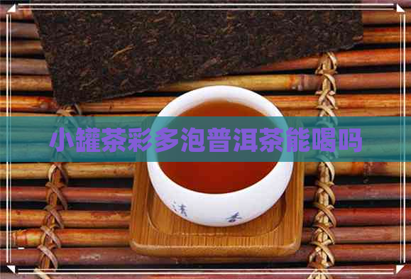 小罐茶彩多泡普洱茶能喝吗