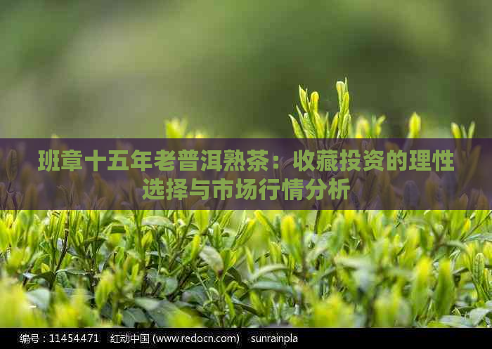 班章十五年老普洱熟茶：收藏投资的理性选择与市场行情分析