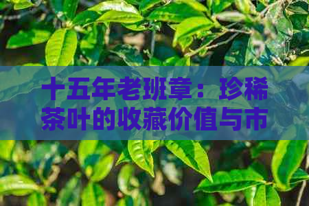 十五年老班章：珍稀茶叶的收藏价值与市场行情分析