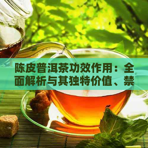 陈皮普洱茶功效作用：全面解析与其独特价值、禁忌与注意事项