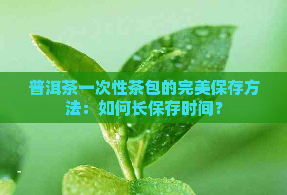 普洱茶一次性茶包的完美保存方法：如何长保存时间？