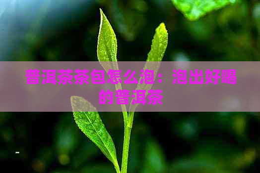 普洱茶茶包怎么泡：泡出好喝的普洱茶