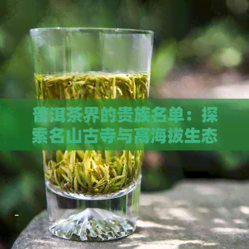 普洱茶界的贵族名单：探索名山古寺与高海拔生态共生的普洱茶园