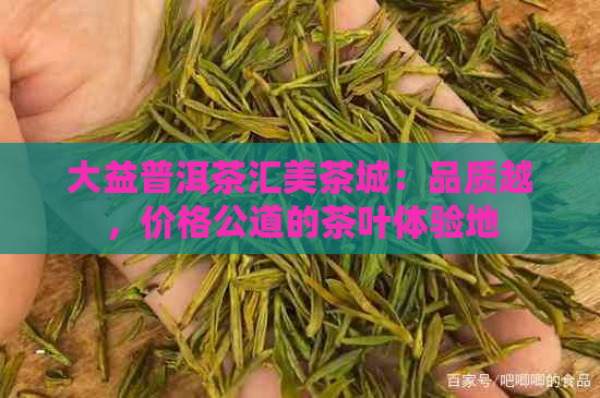 大益普洱茶汇美茶城：品质越，价格公道的茶叶体验地