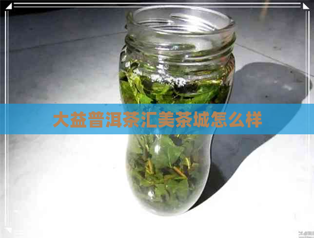 大益普洱茶汇美茶城怎么样