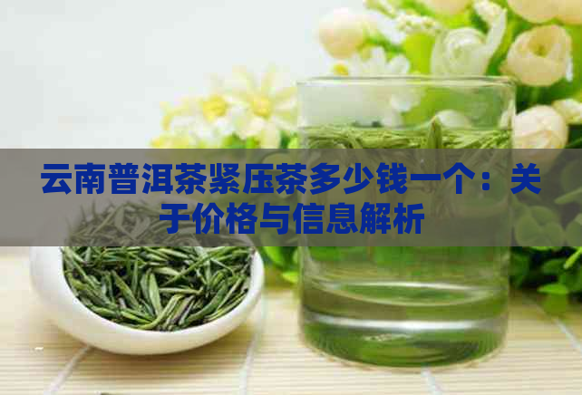 云南普洱茶紧压茶多少钱一个：关于价格与信息解析