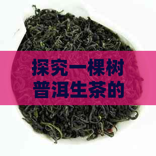 探究一棵树普洱生茶的价值与市场价格