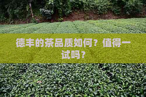 德丰的茶品质如何？值得一试吗？