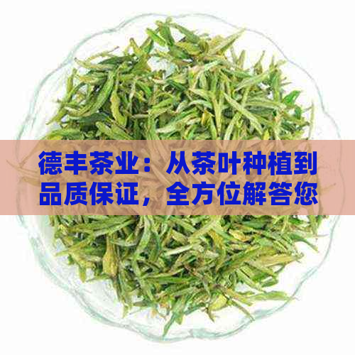 德丰茶业：从茶叶种植到品质保证，全方位解答您的茶叶需求