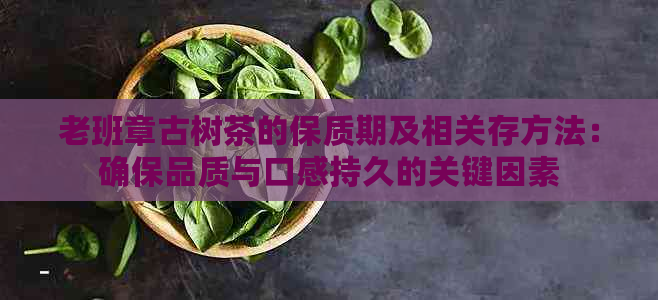 老班章古树茶的保质期及相关存方法：确保品质与口感持久的关键因素