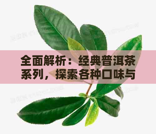 全面解析：经典普洱茶系列，探索各种口味与特点