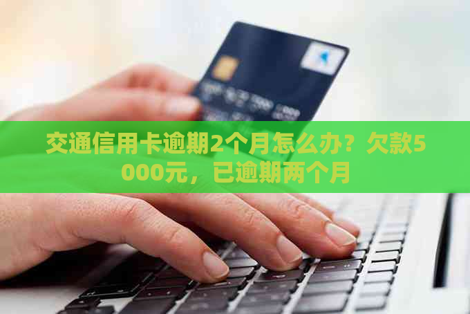 交通信用卡逾期2个月怎么办？欠款5000元，已逾期两个月