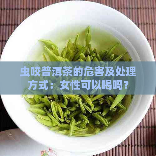 虫咬普洱茶的危害及处理方式：女性可以喝吗？