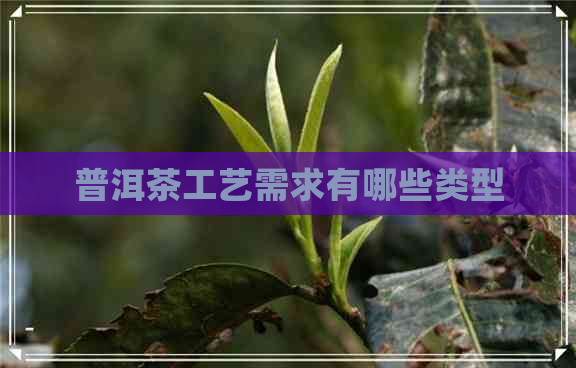 普洱茶工艺需求有哪些类型