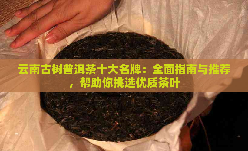 云南古树普洱茶十大名牌：全面指南与推荐，帮助你挑选优质茶叶