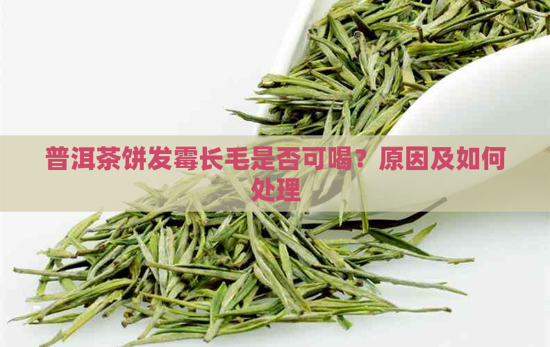 普洱茶饼发霉长毛是否可喝？原因及如何处理