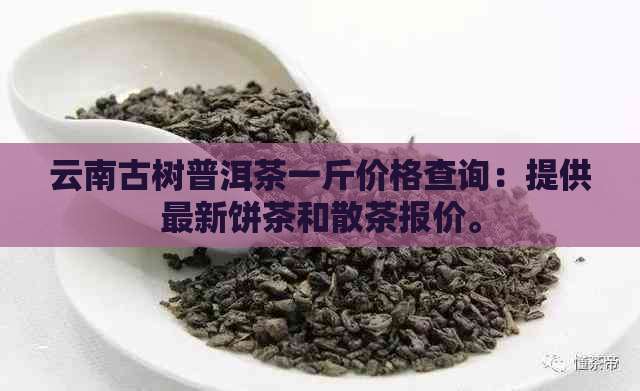 云南古树普洱茶一斤价格查询：提供最新饼茶和散茶报价。