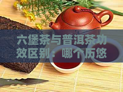 六堡茶与普洱茶功效区别：哪个历悠久？