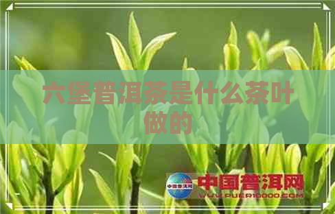 六堡普洱茶是什么茶叶做的