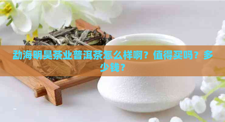 勐海明昊茶业普洱茶怎么样啊？值得买吗？多少钱？