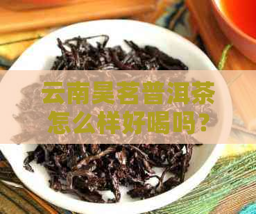 云南昊茗普洱茶怎么样好喝吗？