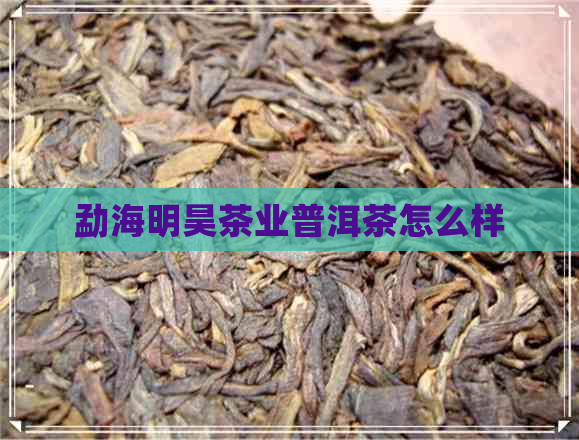 勐海明昊茶业普洱茶怎么样