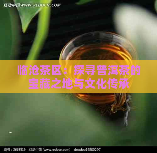 临沧茶区：探寻普洱茶的宝藏之地与文化传承