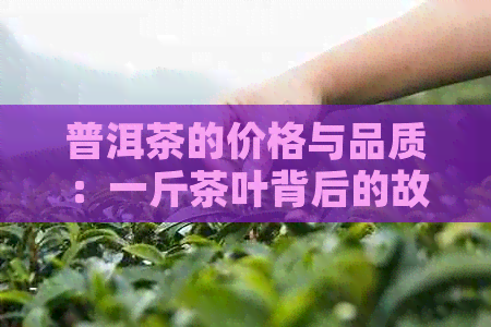 普洱茶的价格与品质：一斤茶叶背后的故事