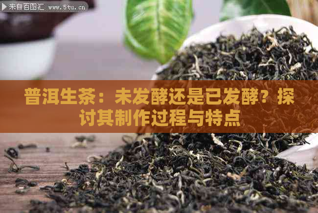 普洱生茶：未发酵还是已发酵？探讨其制作过程与特点