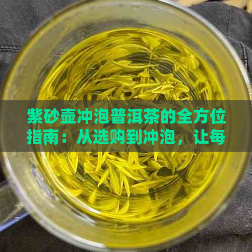 紫砂壶冲泡普洱茶的全方位指南：从选购到冲泡，让每一步都尽在掌握！