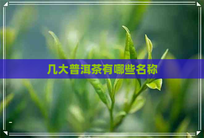 几大普洱茶有哪些名称