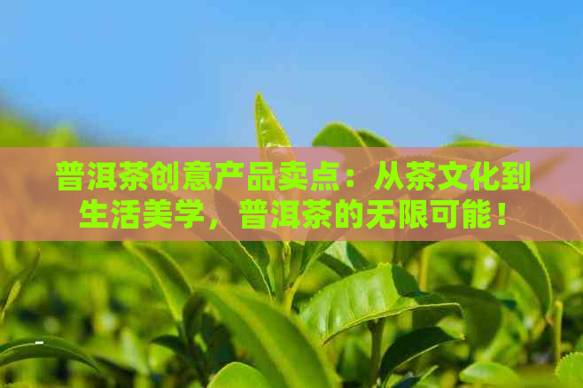 普洱茶创意产品卖点：从茶文化到生活美学，普洱茶的无限可能！