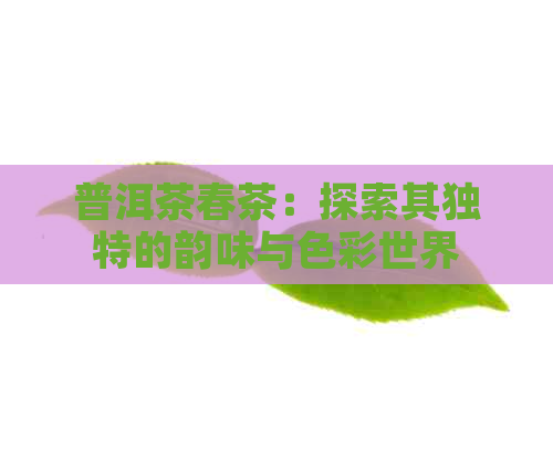 普洱茶春茶：探索其独特的韵味与色彩世界