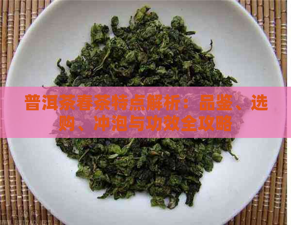 普洱茶春茶特点解析：品鉴、选购、冲泡与功效全攻略