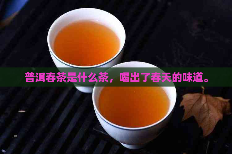 普洱春茶是什么茶，喝出了春天的味道。