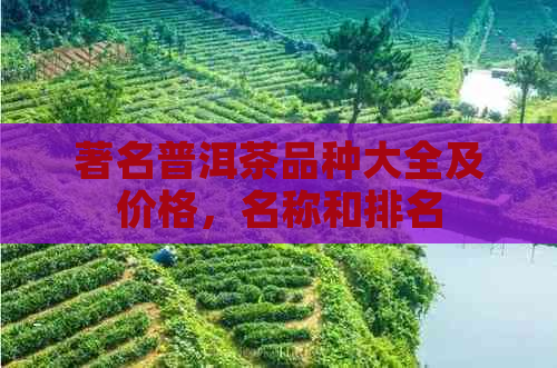 著名普洱茶品种大全及价格，名称和排名