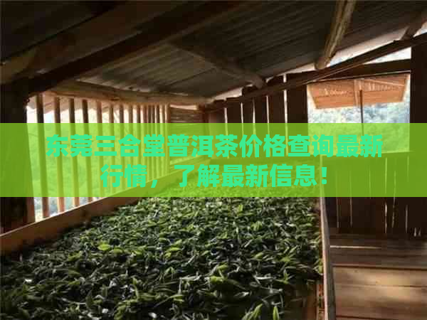 东莞三合堂普洱茶价格查询最新行情，了解最新信息！