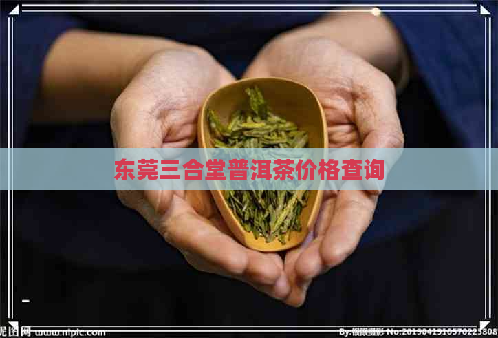 东莞三合堂普洱茶价格查询