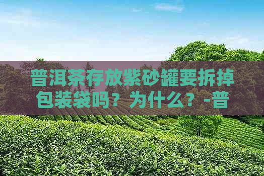 普洱茶存放紫砂罐要拆掉包装袋吗？为什么？-普洱茶存放紫砂罐要拆掉包装袋吗?为什么呢