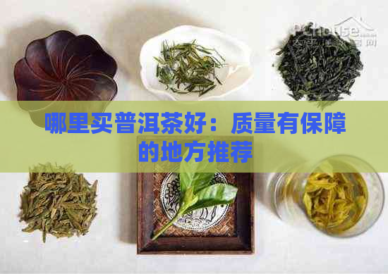 哪里买普洱茶好：质量有保障的地方推荐